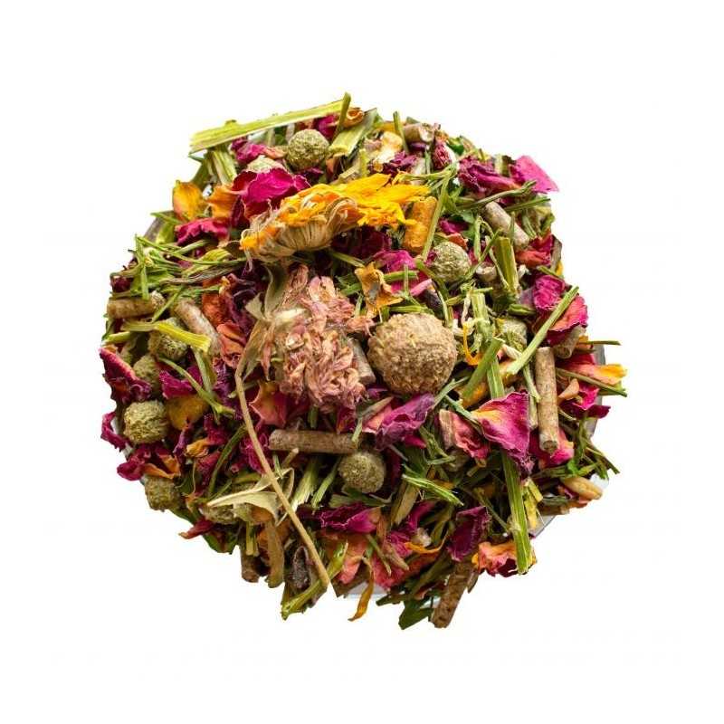 Chinchilla premium menu