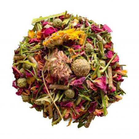 Chinchilla premium menu