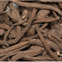 Raices de diente leon