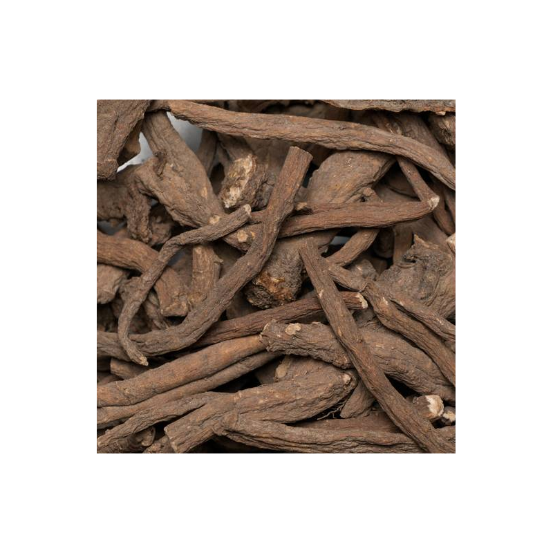 Raices de diente leon