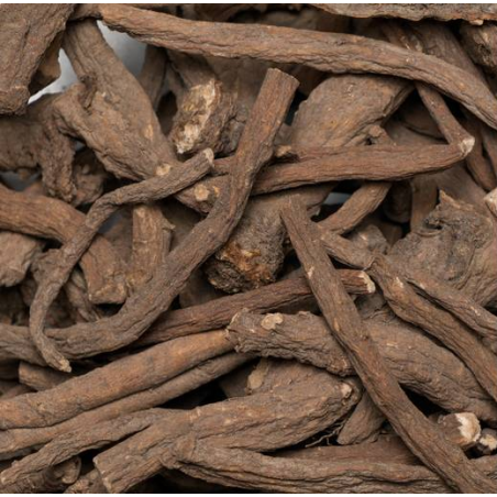 Raices de diente leon