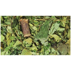 JR Farm secreto del bosque