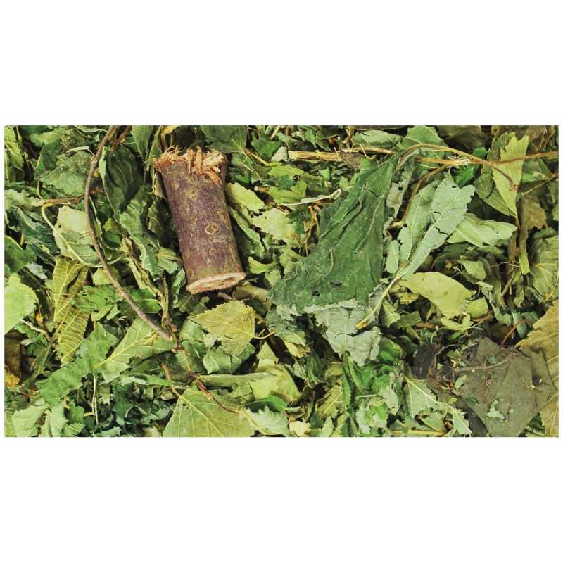 JR Farm secreto del bosque