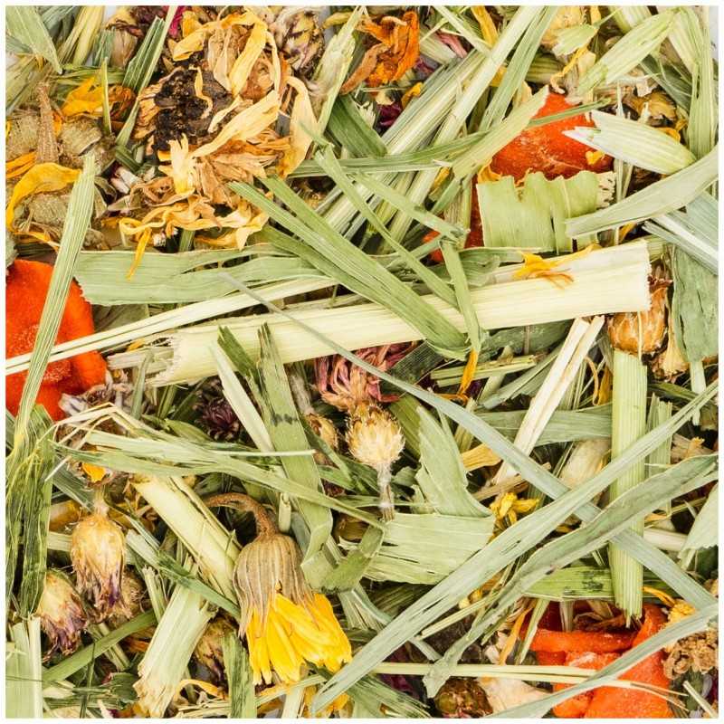 JR Farm verdura de jardin.