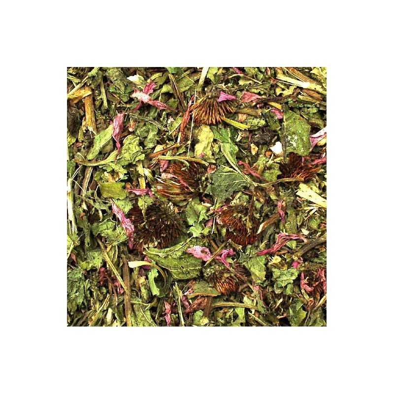 Equinácea y alfalfa