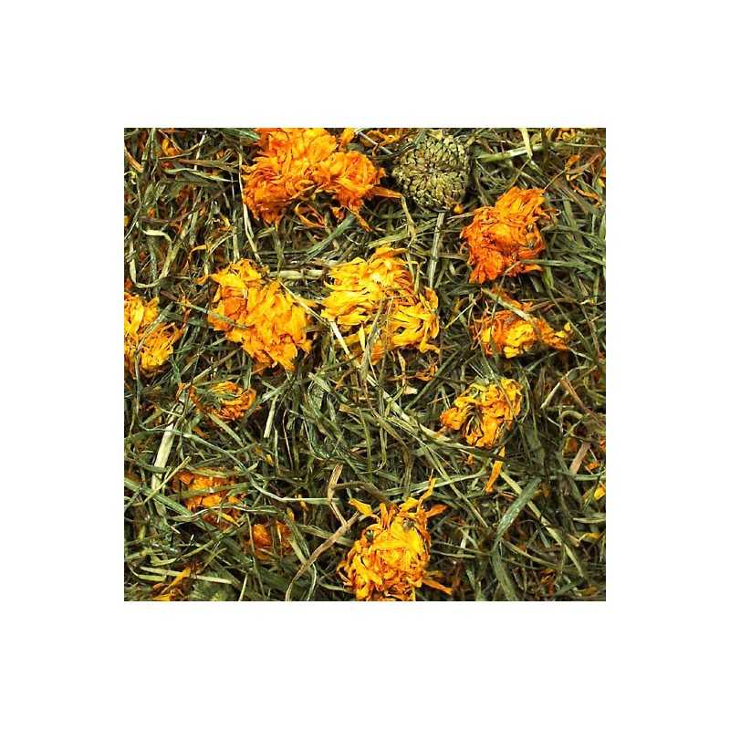 Flores de la pradera