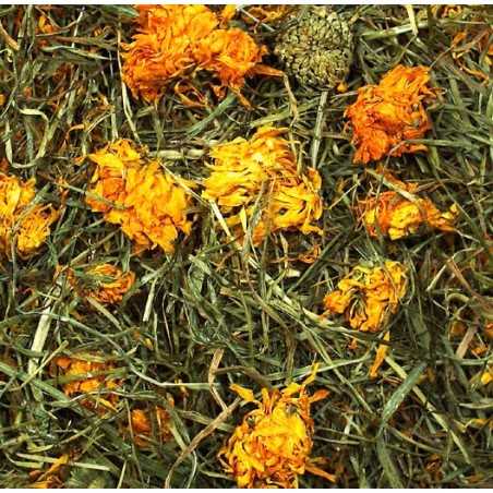 Flores de la pradera