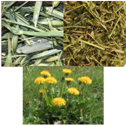 Pack 3 diferentes hierbas