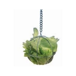 Deposito para lechuga , heno y