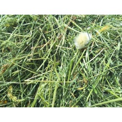 Super Premium Bavaria 1 Corte cosecha 2025