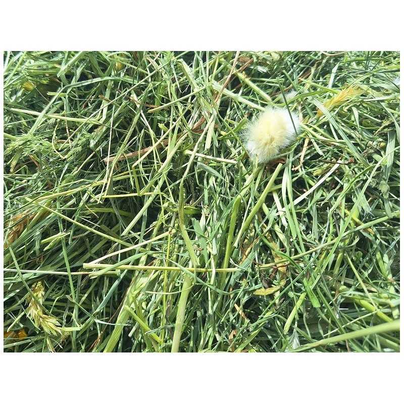 Super Premium Bavaria 1 Corte cosecha 2025