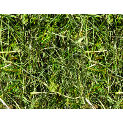 Heno Premium Algoia 1° corte Energie cosecha 2025