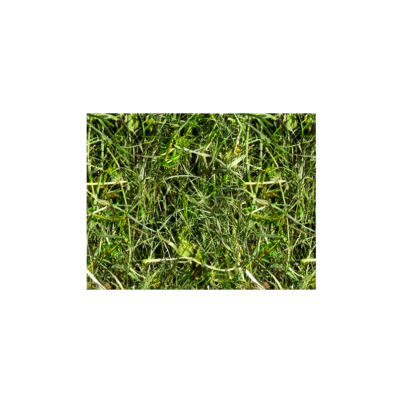 Heno Premium Algoia Energie 1°corte cosecha 2025