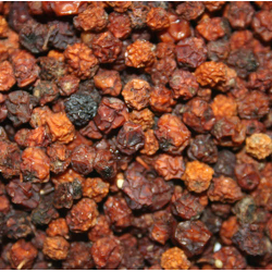 Frutos del arbol Serbal de los cazadores