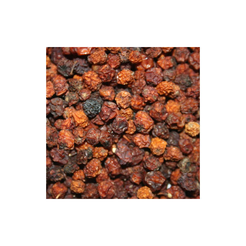 Frutos del arbol Serbal de los cazadores