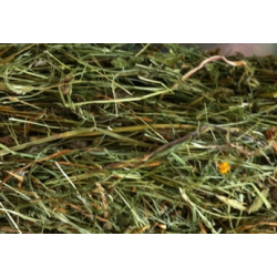 Heno Premium Hoch Selva Negra 1°y 2° corte - cosecha 2025