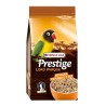 Prestige Agapornis Loro Parque mix