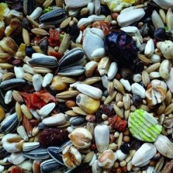 Witte molen mezcla para loros medianos bajo en grasa.