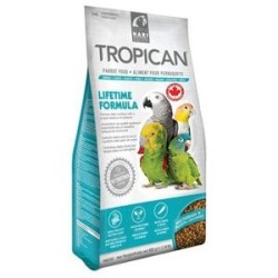 Hagen tropican