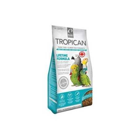 Hagen tropican