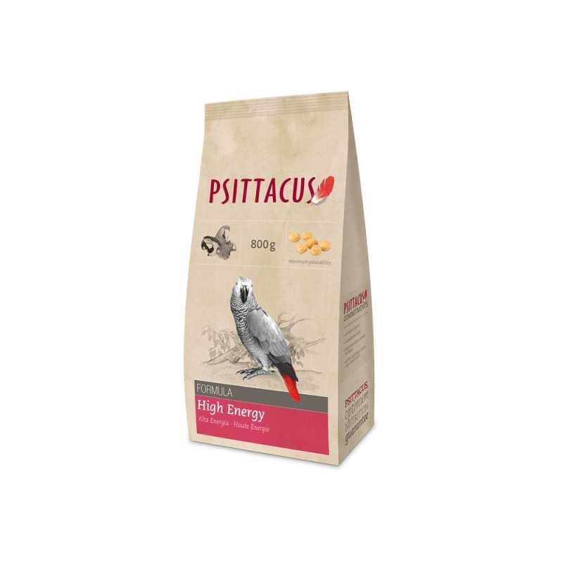 Psittacus alta energia