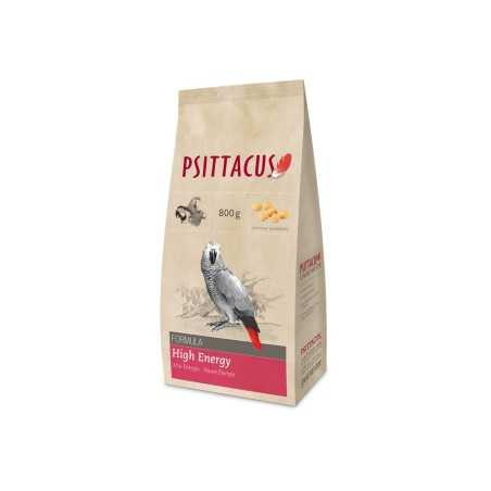 Psittacus alta energia