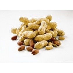 Cacahuetes con cascara