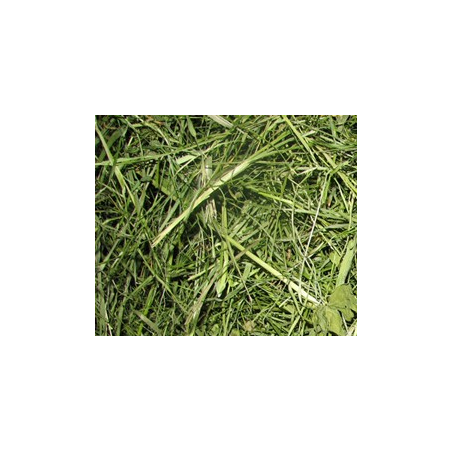 Heno Premium Algoia H&K 2°corte cosecha 2025