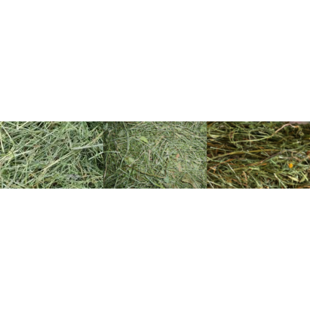 Super Power Pack 3 Henos