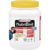 Nutri Bird A19 - papilla