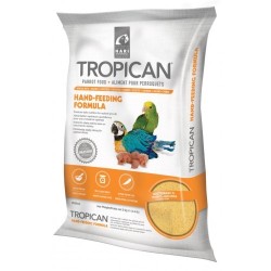 TROPICAN PAPILLA