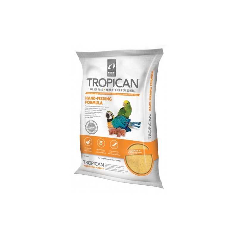 TROPICAN PAPILLA