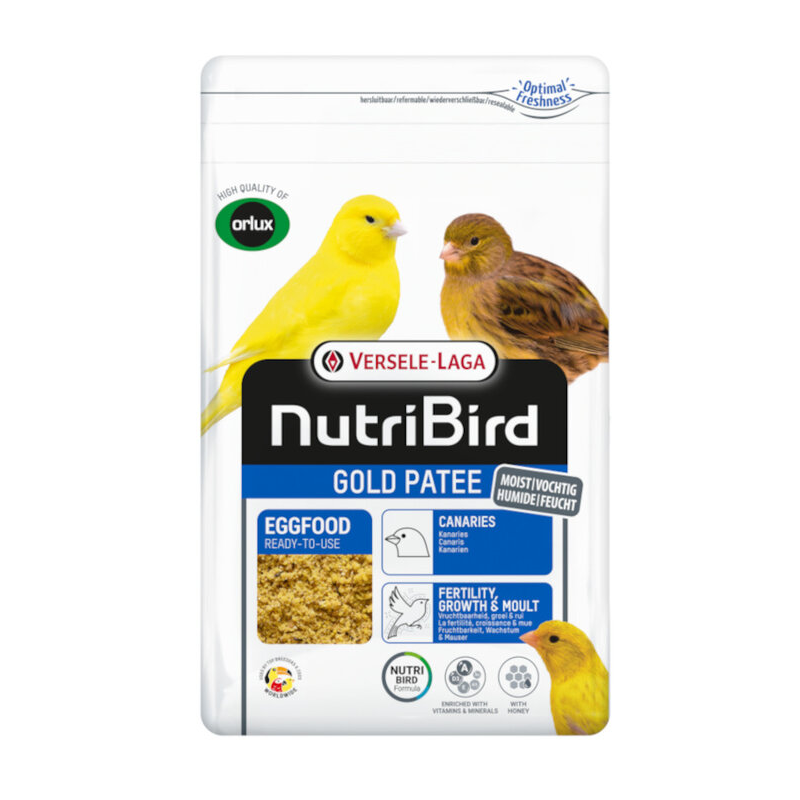 Orlux Gold Patee Amarillo