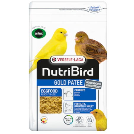 Orlux Gold Patee Amarillo