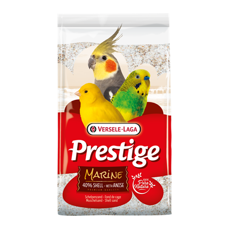 Arena fondo Arena fondo