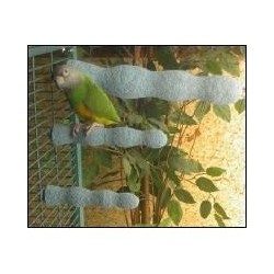 Percha limauna irregular