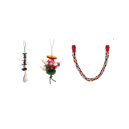 Pack-Periquitos-Agapornis-Cotorras