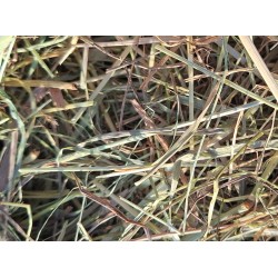 Heno Premium alto Selva Negra 1° corte - cosecha 2025