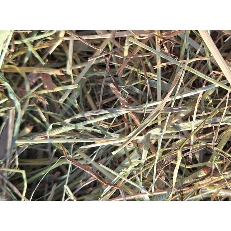 Heno Premium alto Selva Negra 1° corte - cosecha 2025