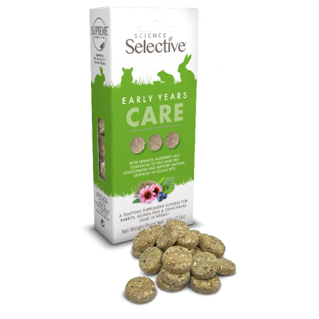 Selective Early Years Care