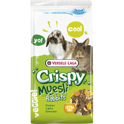 Crispy muesli rabbits
