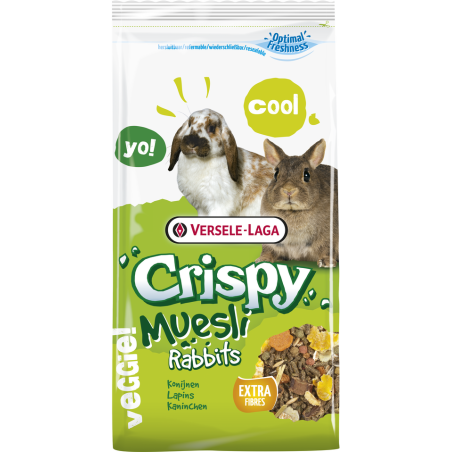 Crispy muesli rabbits