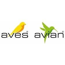 Aves - Avian